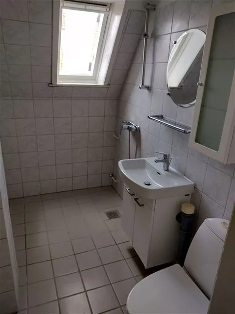 Salles de bain - Renovated Apartment in Quiet Estate, Aarhus