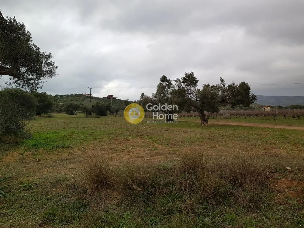 Aed - Plot with Unrestricted View near Keratea