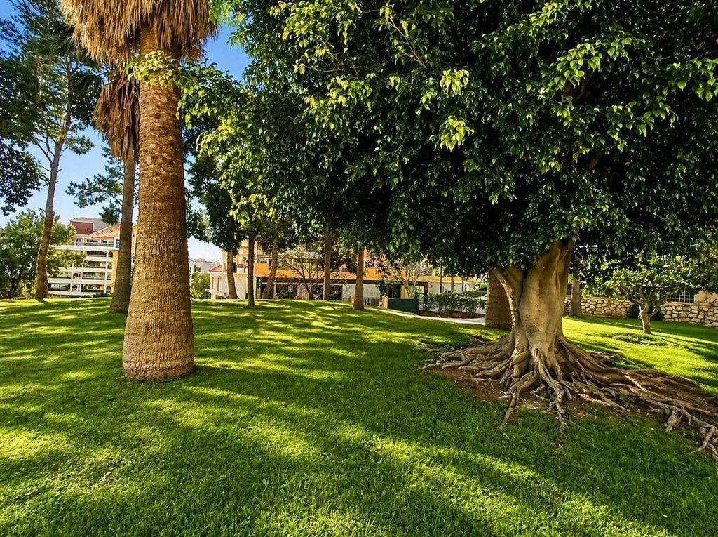 garden