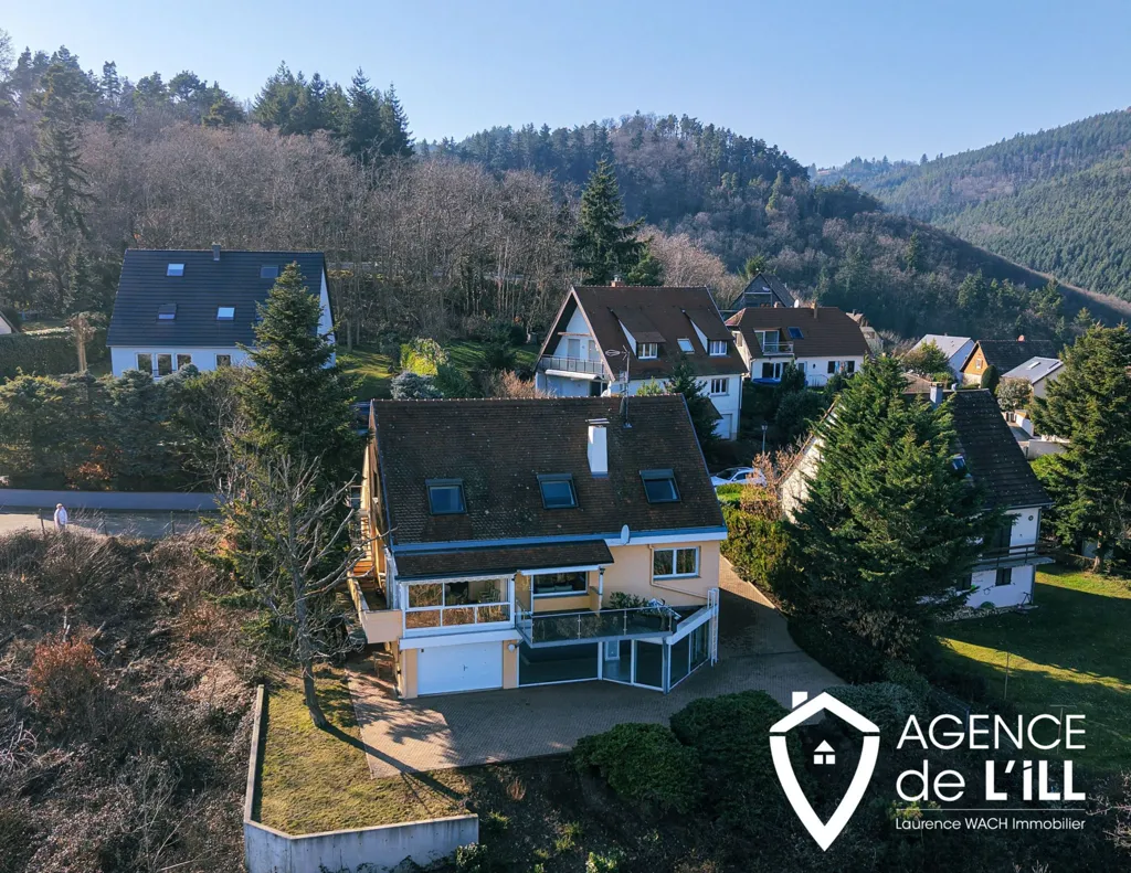 Vue aérienne - House with Panoramic View in Niedermorschwihr