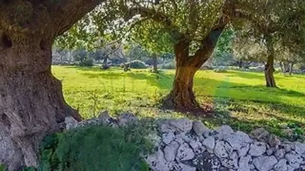 Jardin - Baglio-Style Property with Natural Views in Noto