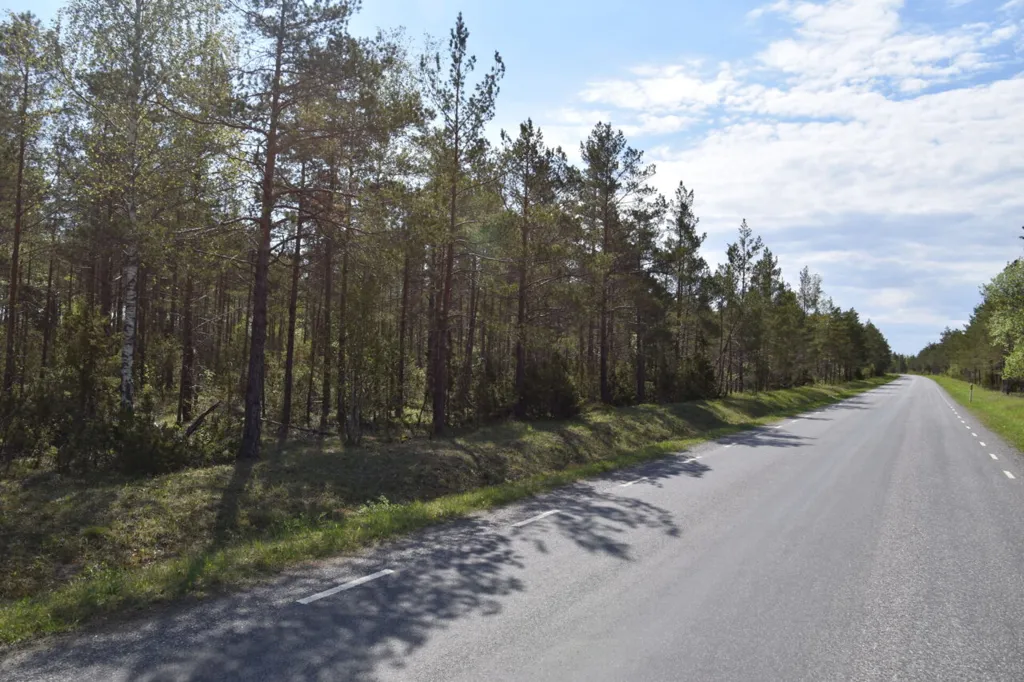 Extérieur - Forested Land with Access Road in Väike-Võhma, Saaremaa