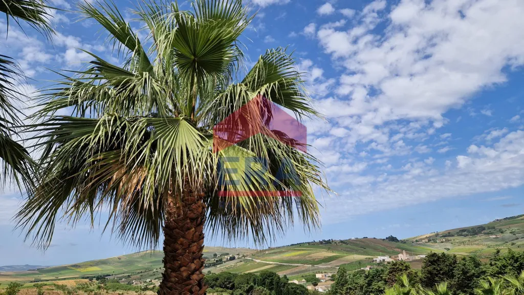 Spacious Apartment with Balcony in Custonaci