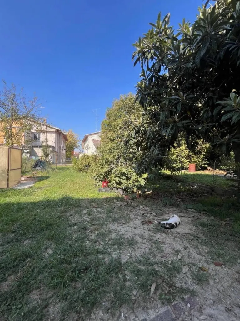Giardino - Bifamily Villa with Garden in Suzzara