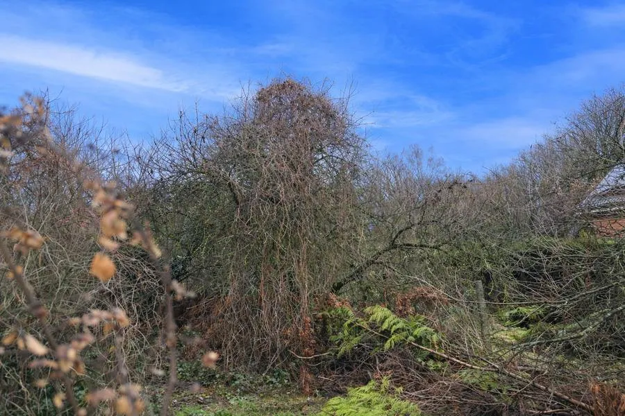 Terrain à Rotselaar
