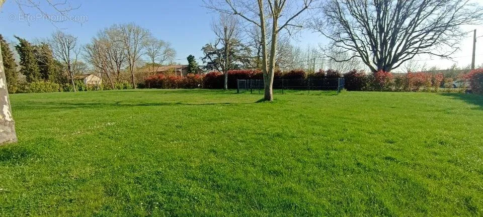 Aed - Flat Terrain with Forest View in Lasserre-Pradère