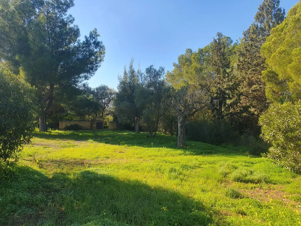 Garden - Country Home with Pool near Binissalem