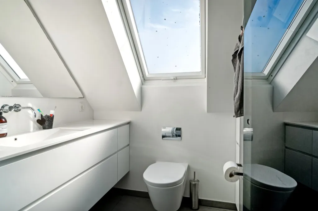 Vannitoad - Villa with Two Kitchens in Kolding