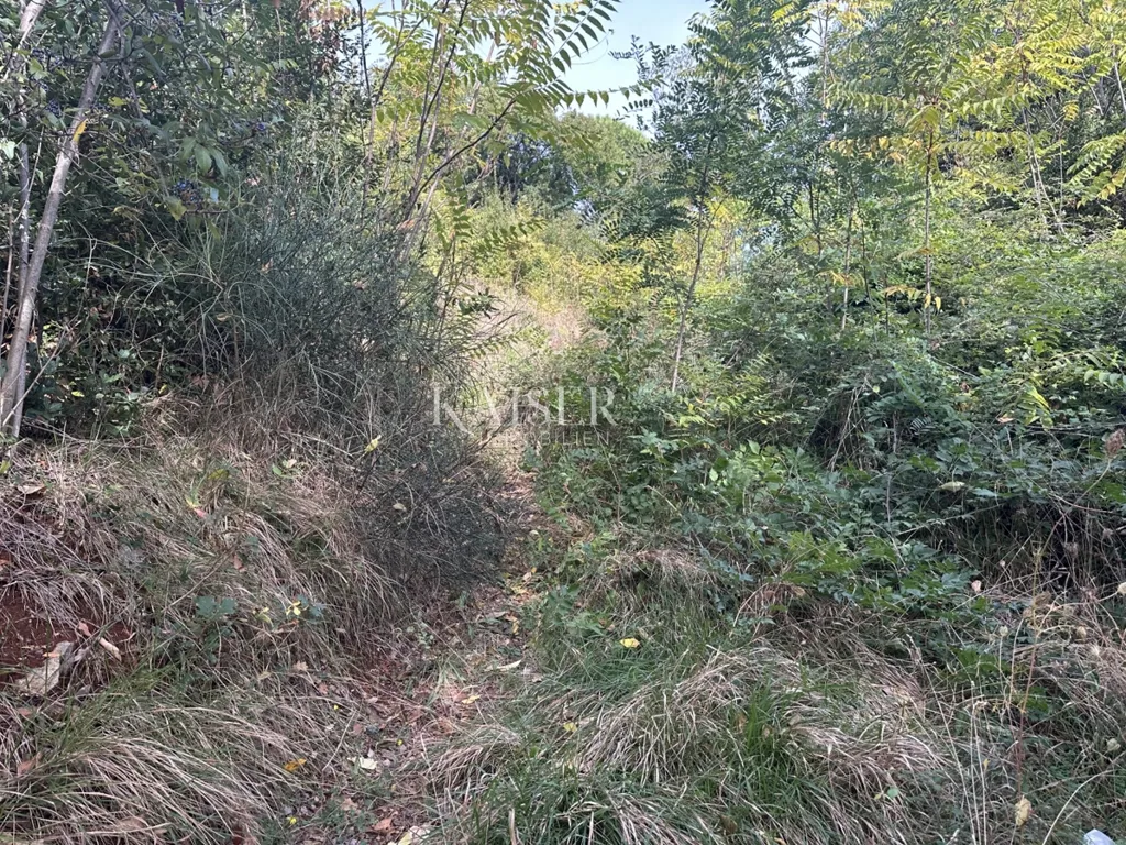 Jardin - Building Land with Sea View in Medveja
