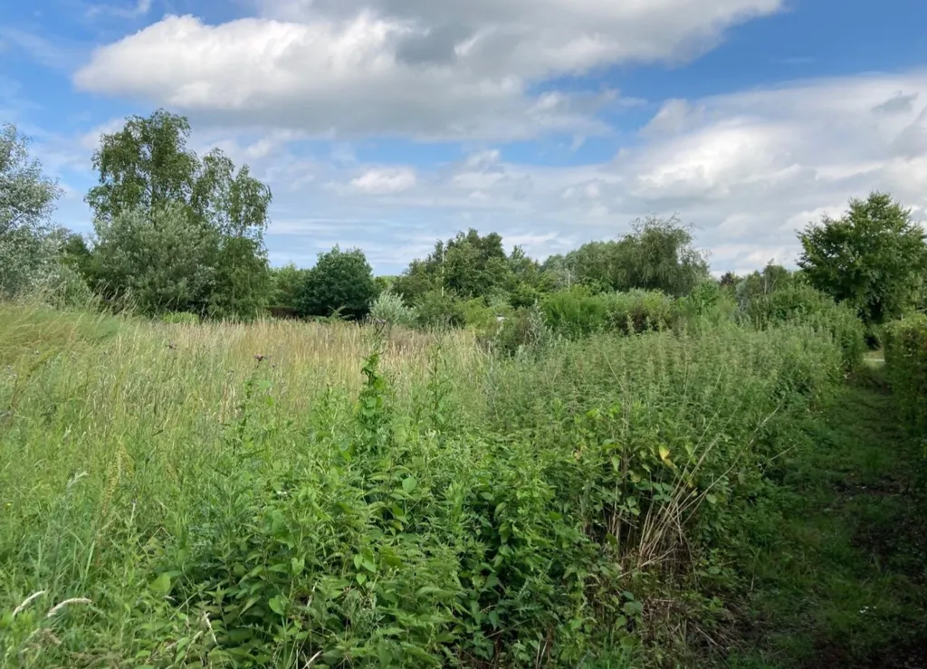 Aed - Holiday Plot with 5G Coverage in Store Fuglede
