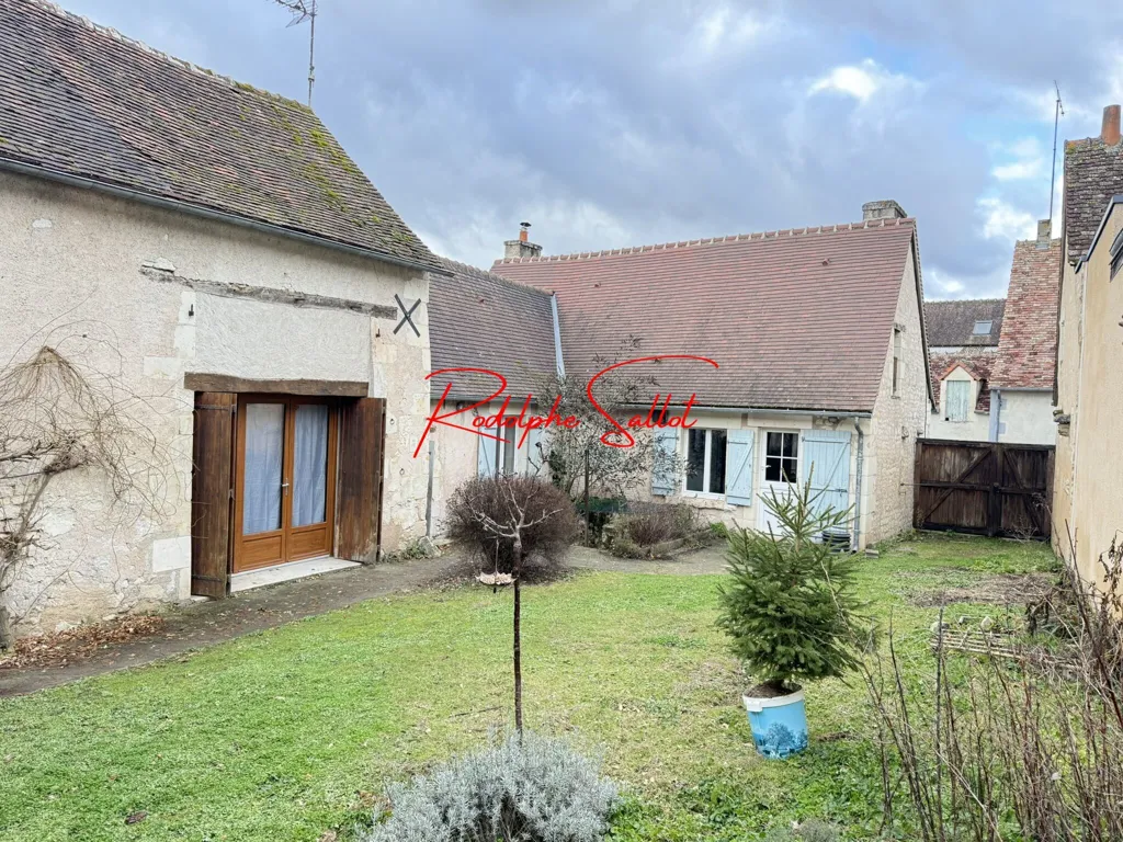 Garden - Character House with Garden in Martizay