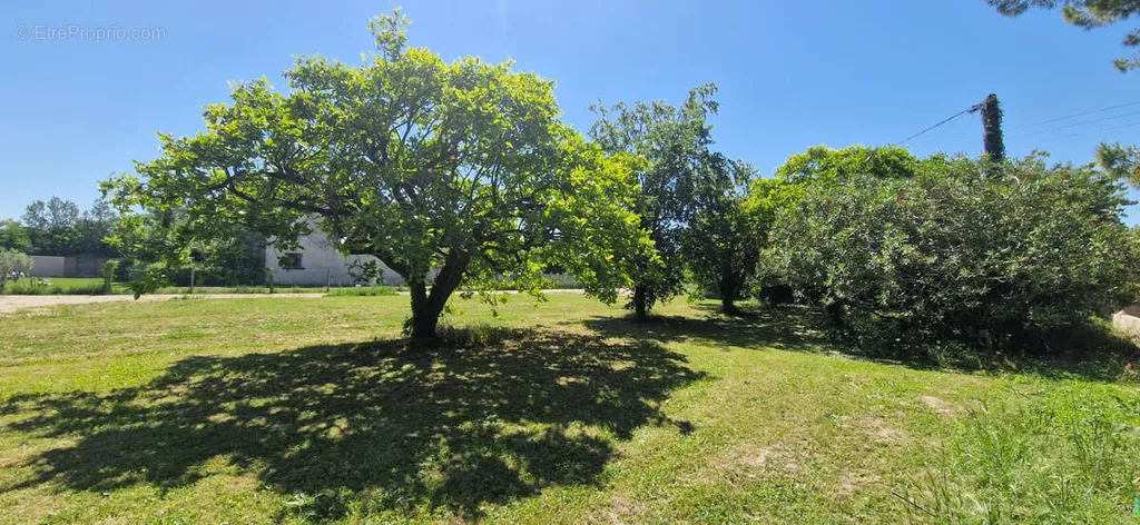 Aed - Constructible Plot with Orchard in Mondragon