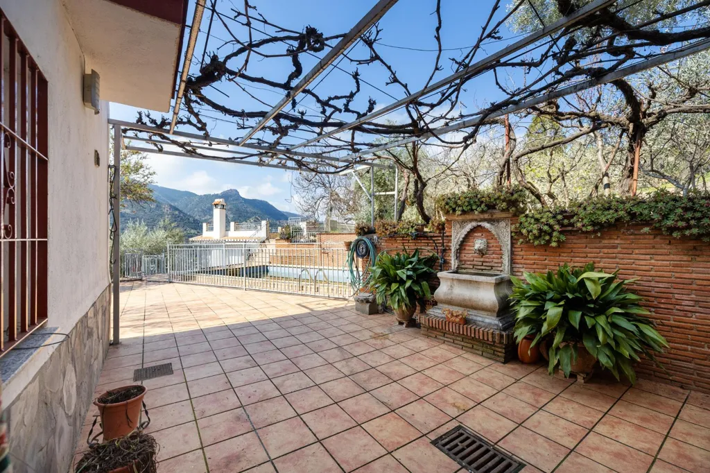 terrace_patio