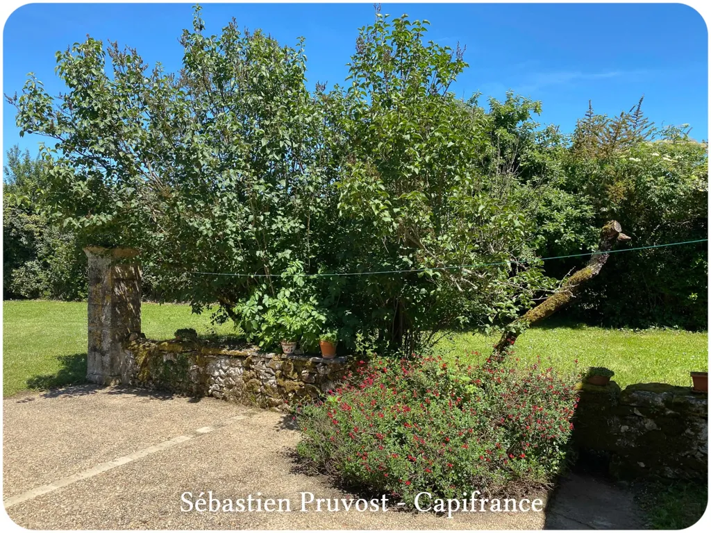 Aed - Stone House with Gîte in Champagnac de Belair