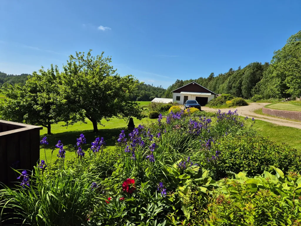 Garden - Historic House with Garden in Uddevalla