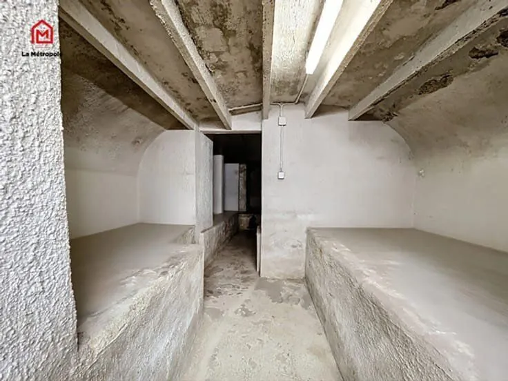 Toad - House with Cellar and Terrace in Semi-Detached Setting