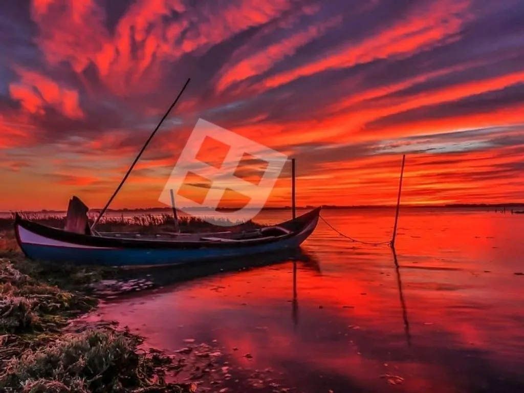 Development Land with Building Feasibility in Aveiro