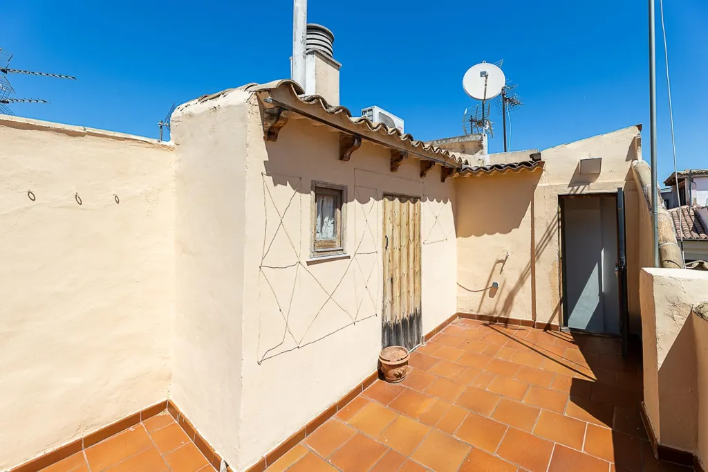 Terrace - 3-room apartment in Palma de Mallorca (Capital)
