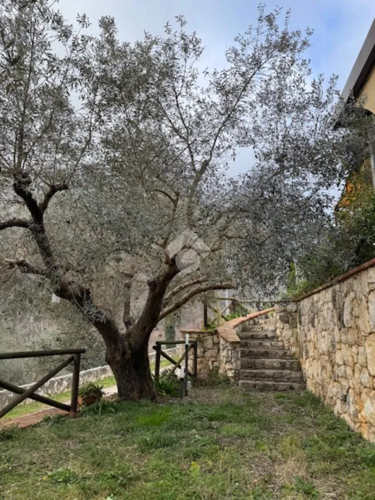 Garden - Independent House with Restaurant in Venafro