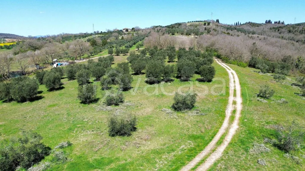 Õhuvaade - Rustic Casale with Olive Grove near Perugia
