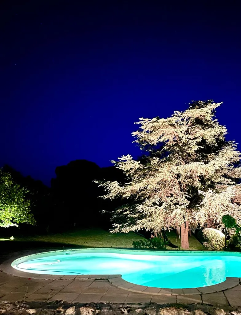 Piscina - Rustic Stone House with Pool near Auch