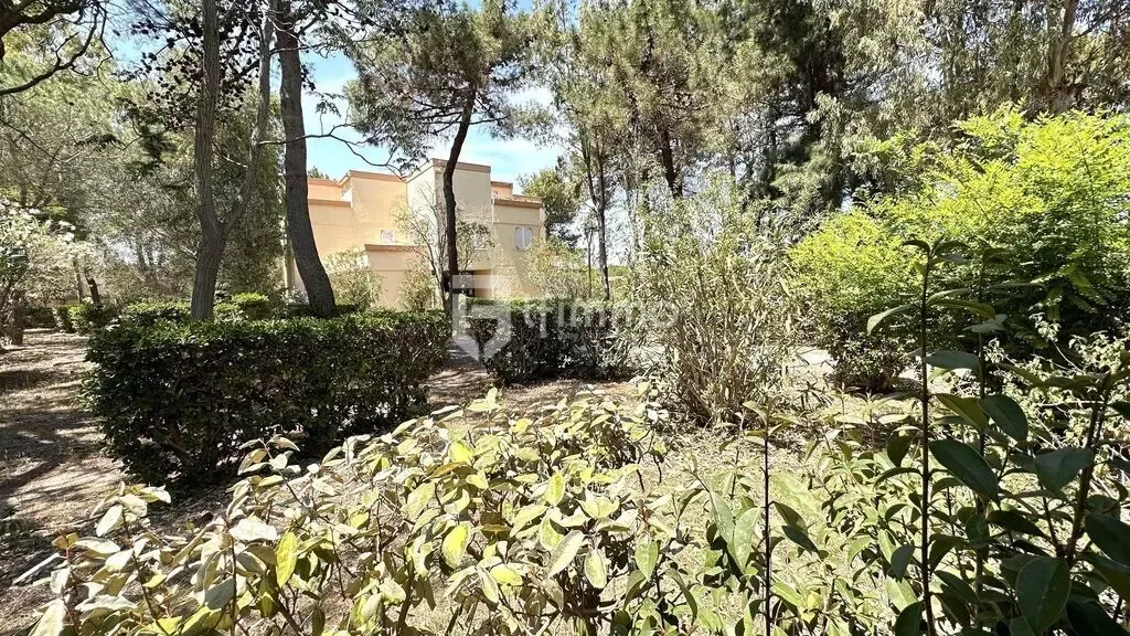 Giardino - Furnished Studio with Terrace in Argelès