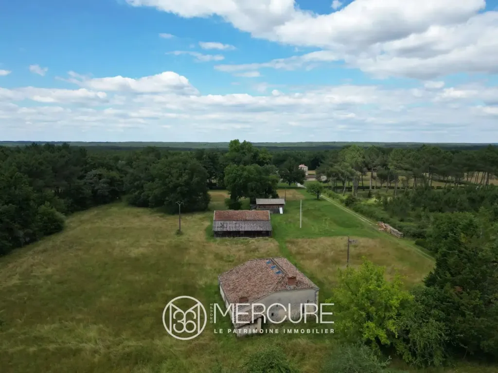 Vista aerea - Historic Chartreuse with Courtyard in South Gironde