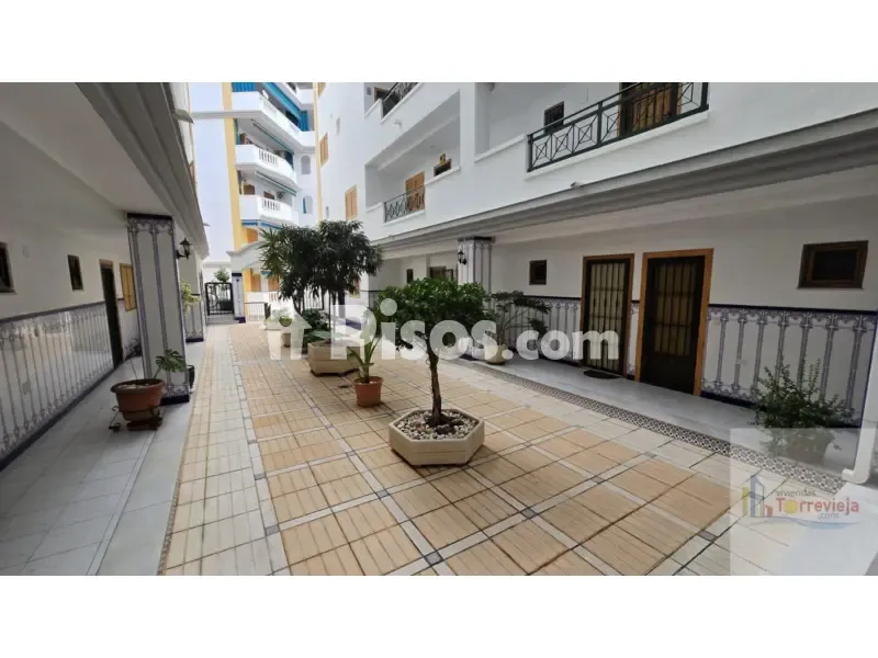 Jardin - Apartment with Sea View in La Mata