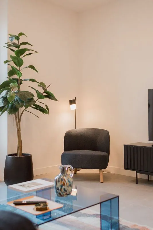 Elutuba - Furnished Flat with Balcony in Madrid