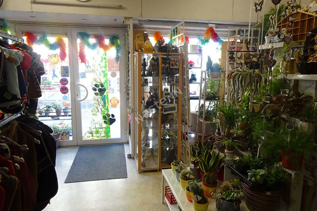Toad - Commercial Property with Private Courtyard in Rochefort Centre