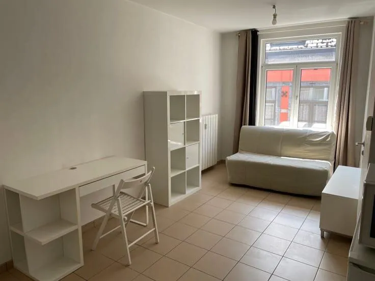 Magamistoad - Renovated Flat with Lift in Namur Centre