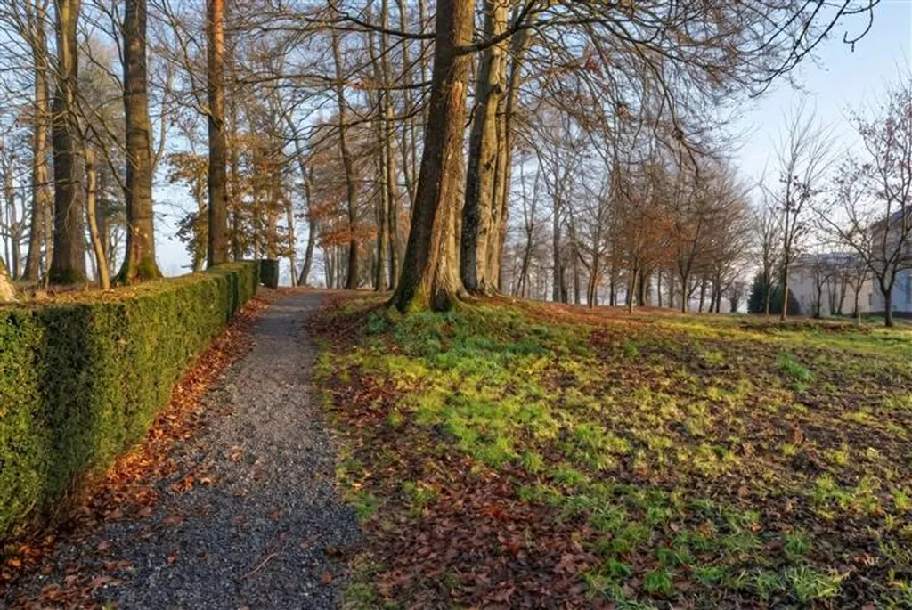 Jardin - Appartement au Dernier Étage à Bastogne