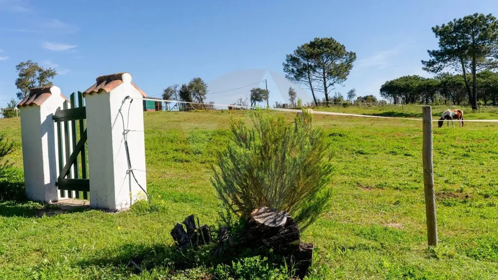 Jardin - Equestrian Villa with Water View in Beja District