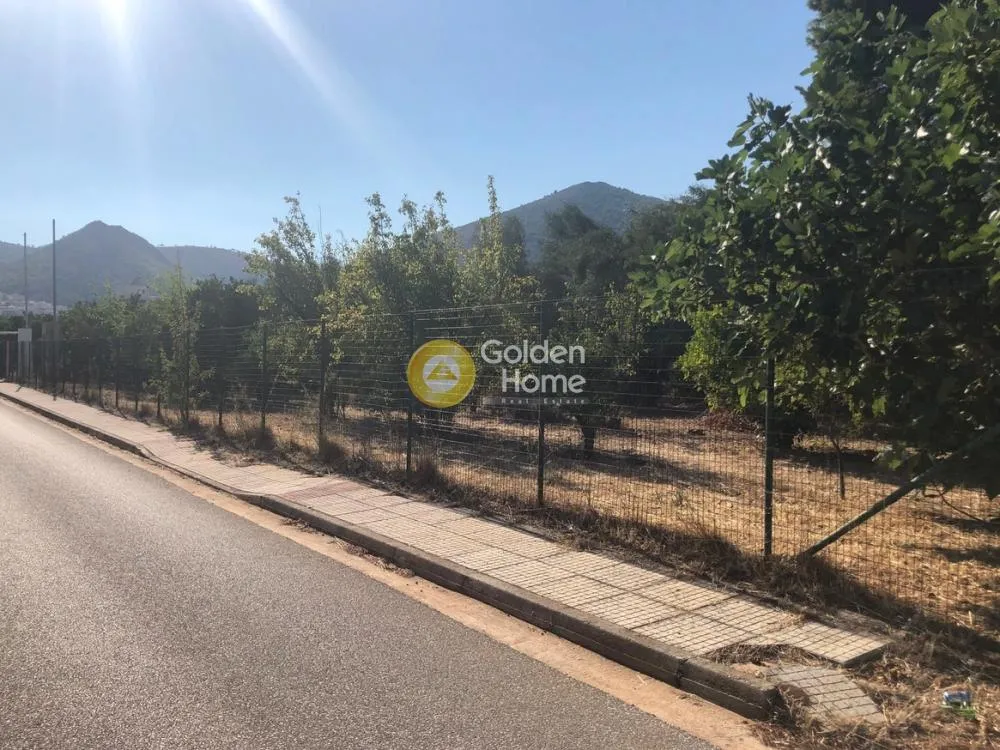 Garden - Plot with Sea View in Nea Makri Centre