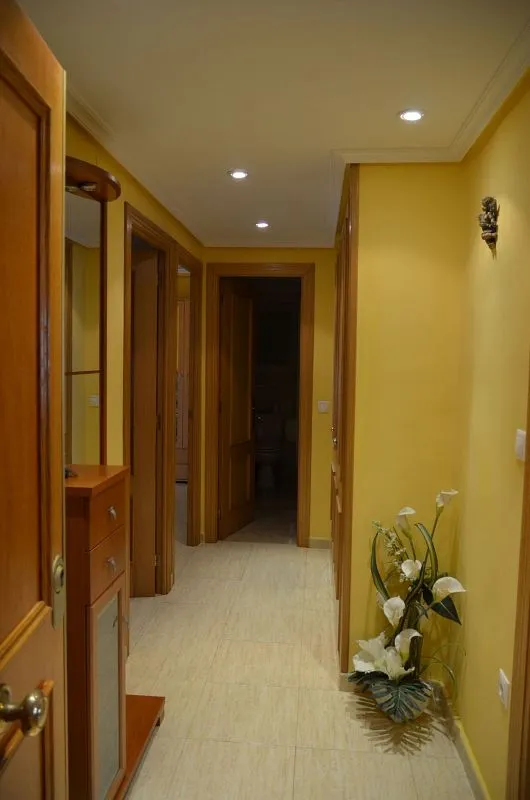 Entrée - Furnished Flat with Air Conditioning in La Malvarrosa