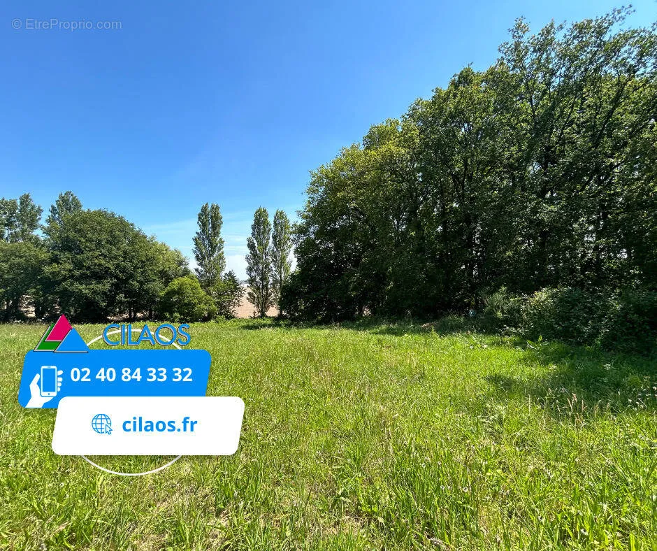 Garden - Buildable Land with Proximity to Malansac Station