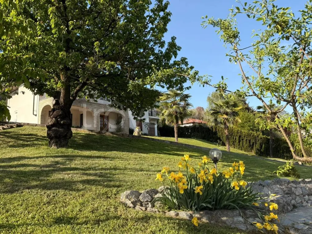 Aed - Villa with Garden and Pool in Vezza d'Alba