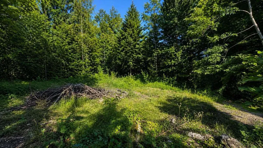 Jardin - Terrain Plat au Cœur de Gaillac