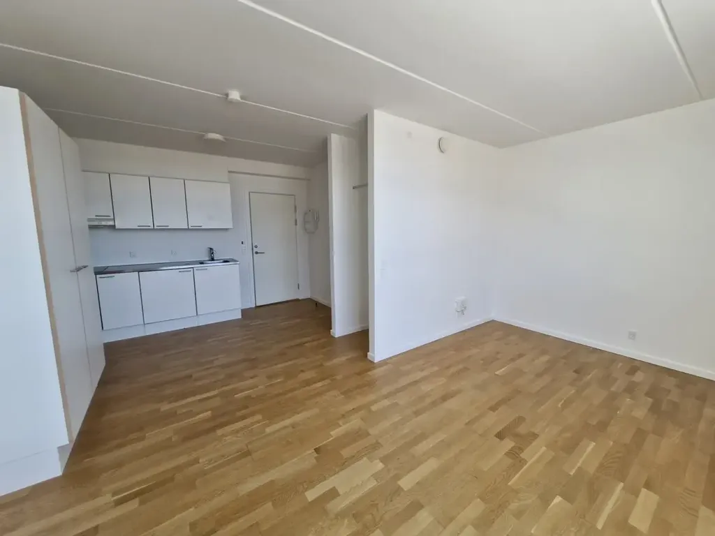 Séjour - 1-Bedroom Flat near Haderslev Stadium