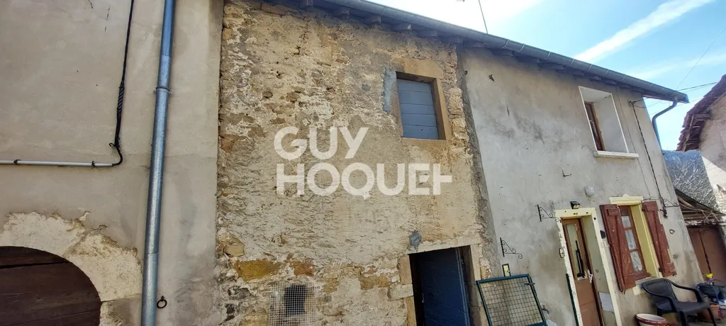Välivaade - Two-Unit Property with Renovation Potential in Hérisson-sur-Amby