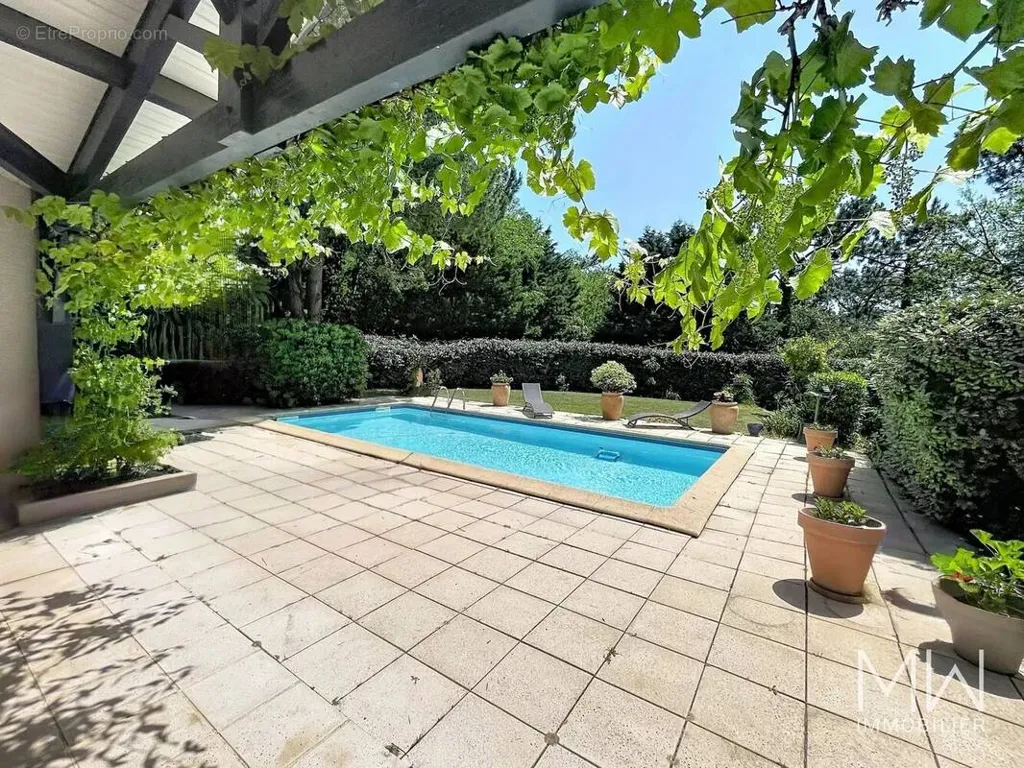 Piscine - Villa avec Piscine et Terrasse au Village du Canon