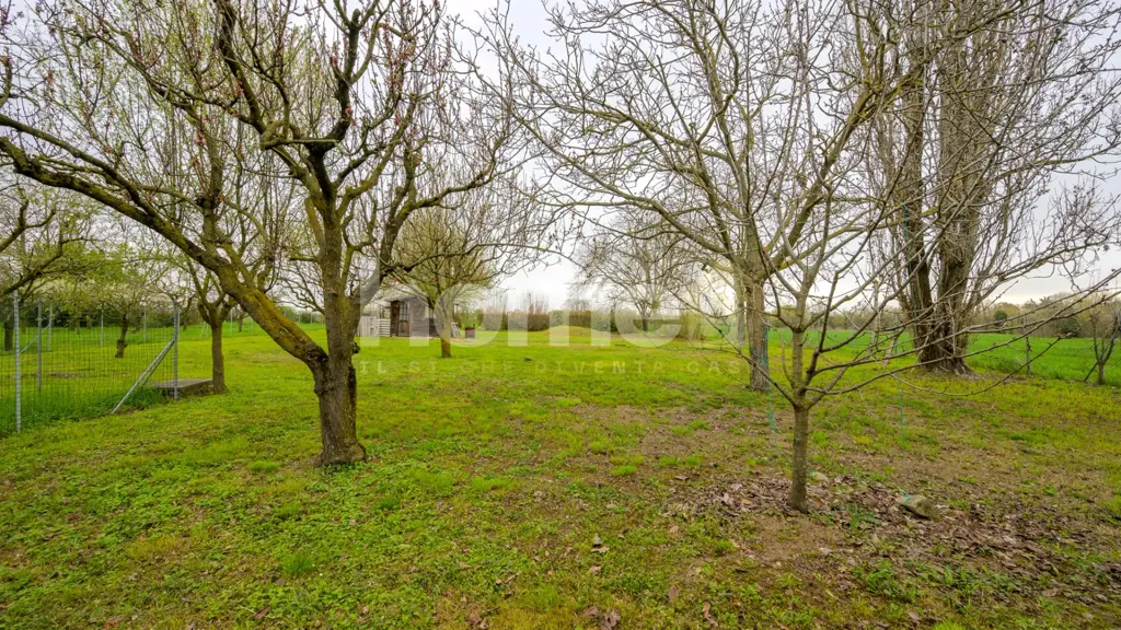 Aed - Luxury Villa with Garden in Modena
