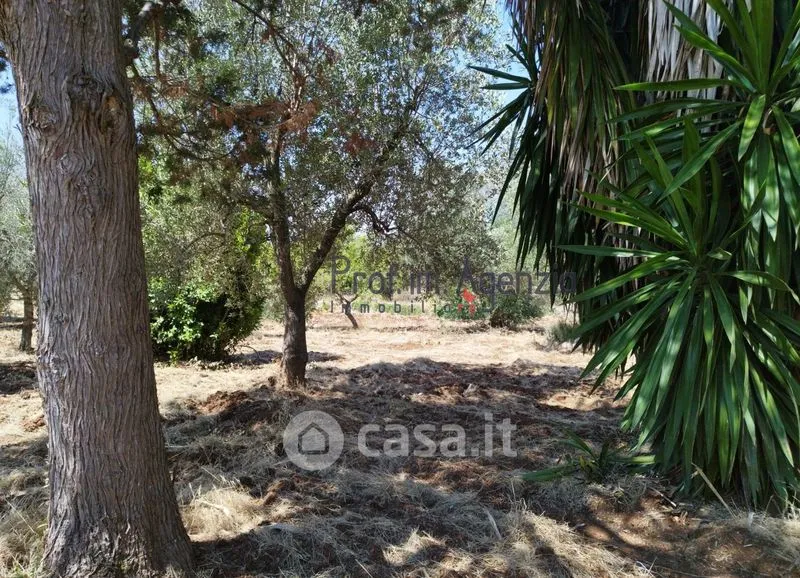 Aed - Trullo Complex with Olive Grove in San Michele Salentino
