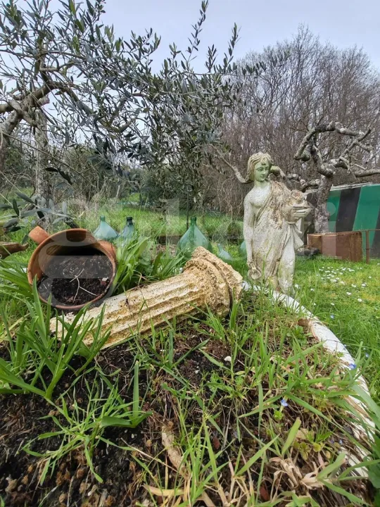 Aed - Rustic House with Garden in Collesalvetti