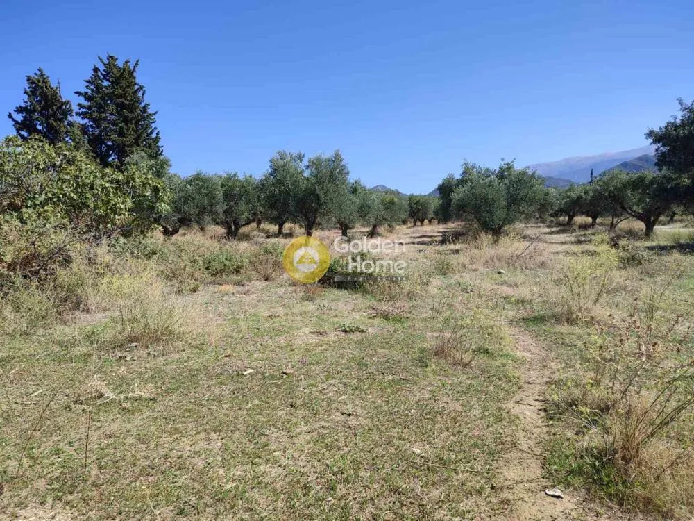 Giardino - Agricultural Plot with Sea Access in Patras