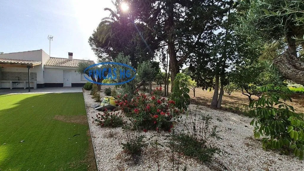 Jardin - Estate with Pool and Garden in Mutxamel