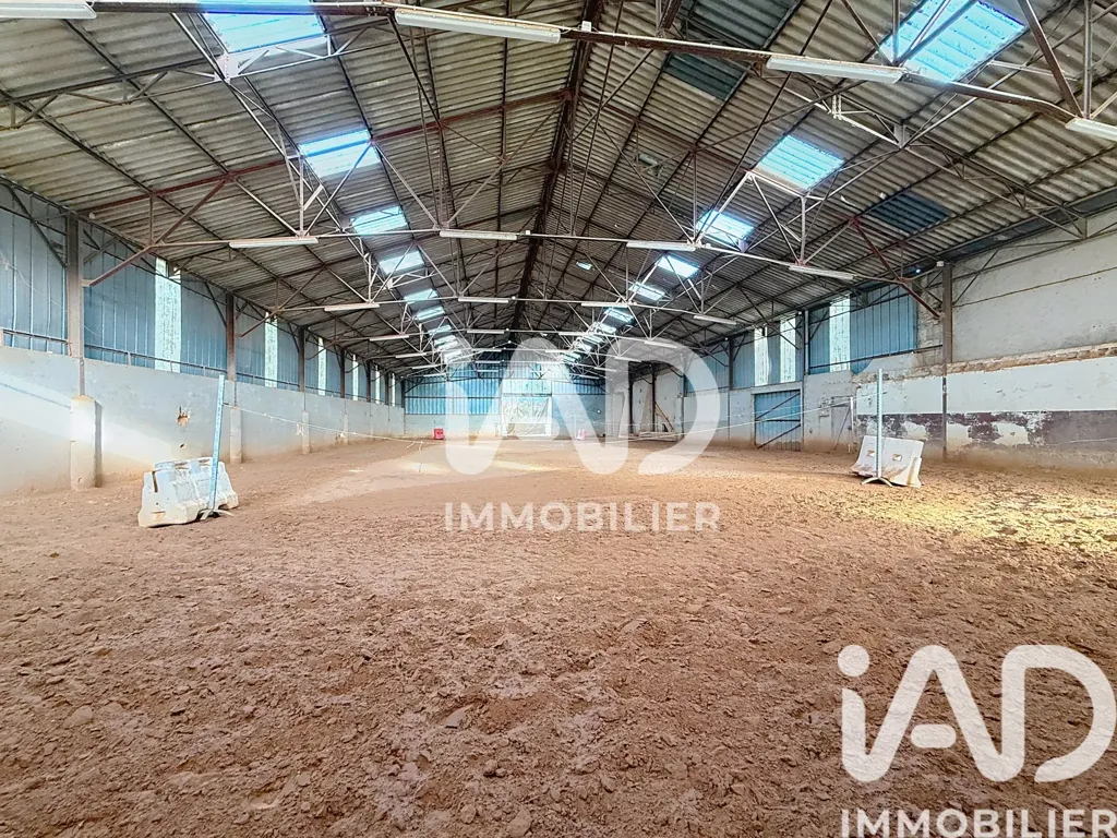 Stanze - Equestrian Domain with House in Nubécourt