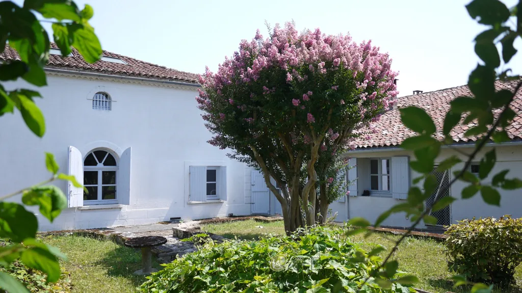 Garden - Restored Stone Manor with Pool near Bordeaux