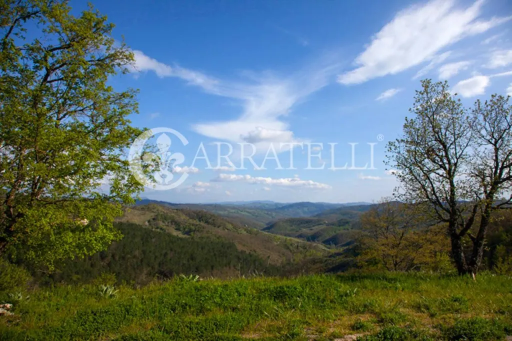 Aed - Luxury Farmhouse with Pool in Città di Castello
