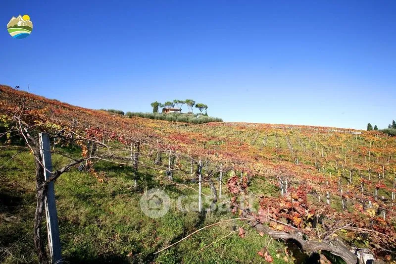 Jardin - Panoramic Villa with Private Park in Notaresco